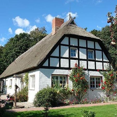 Ferienwohnung Rügen-Fewo 266 Gurtitz Exterior foto