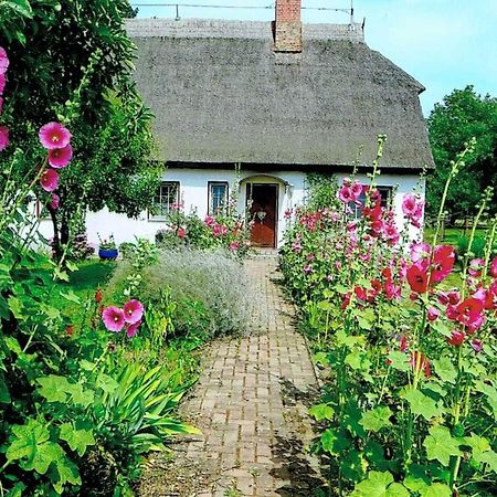 Ferienwohnung Rügen-Fewo 266 Gurtitz Exterior foto