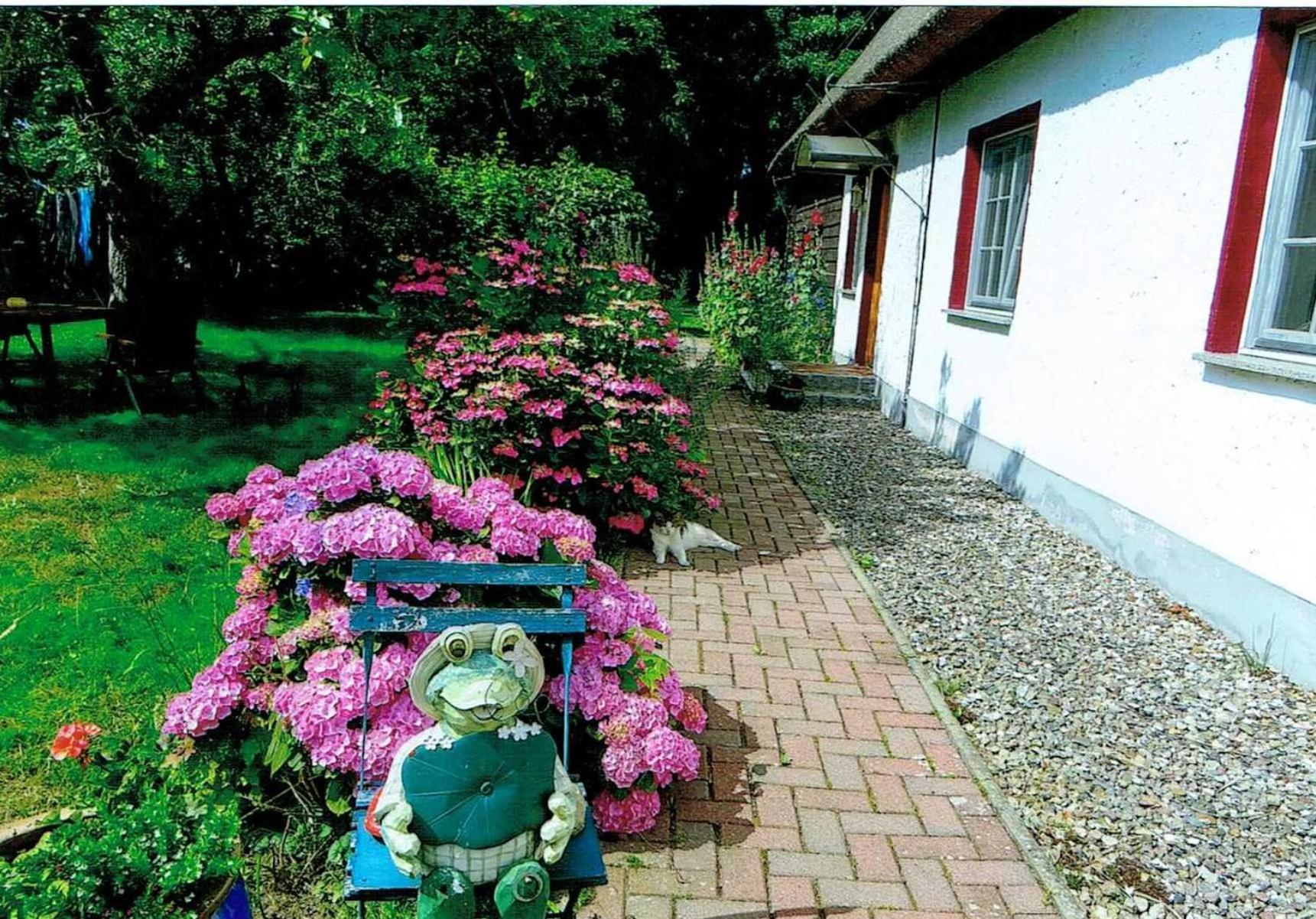 Ferienwohnung Rügen-Fewo 266 Gurtitz Exterior foto